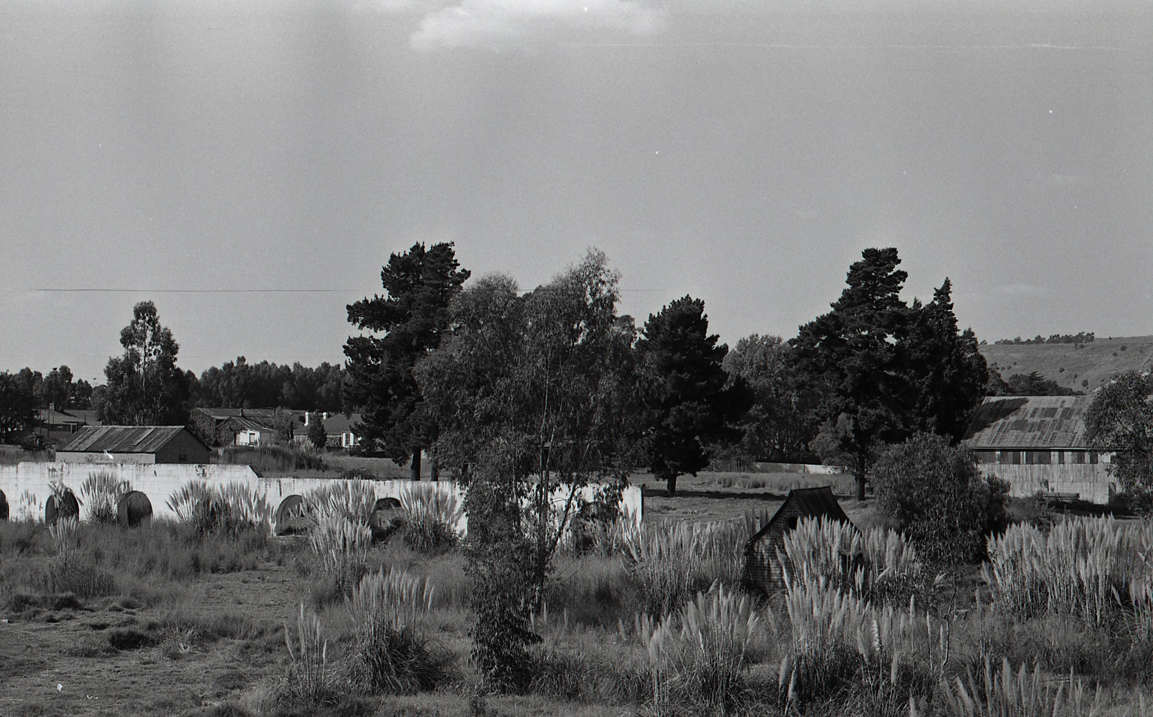 CM landscapes024